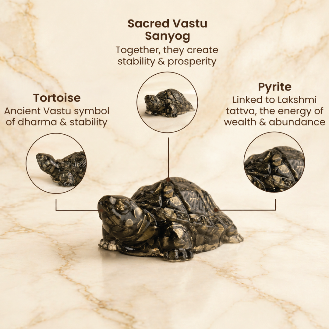 Dhan Yog Bracelet with Vastu Pyrite Tortoise (Kachhua)