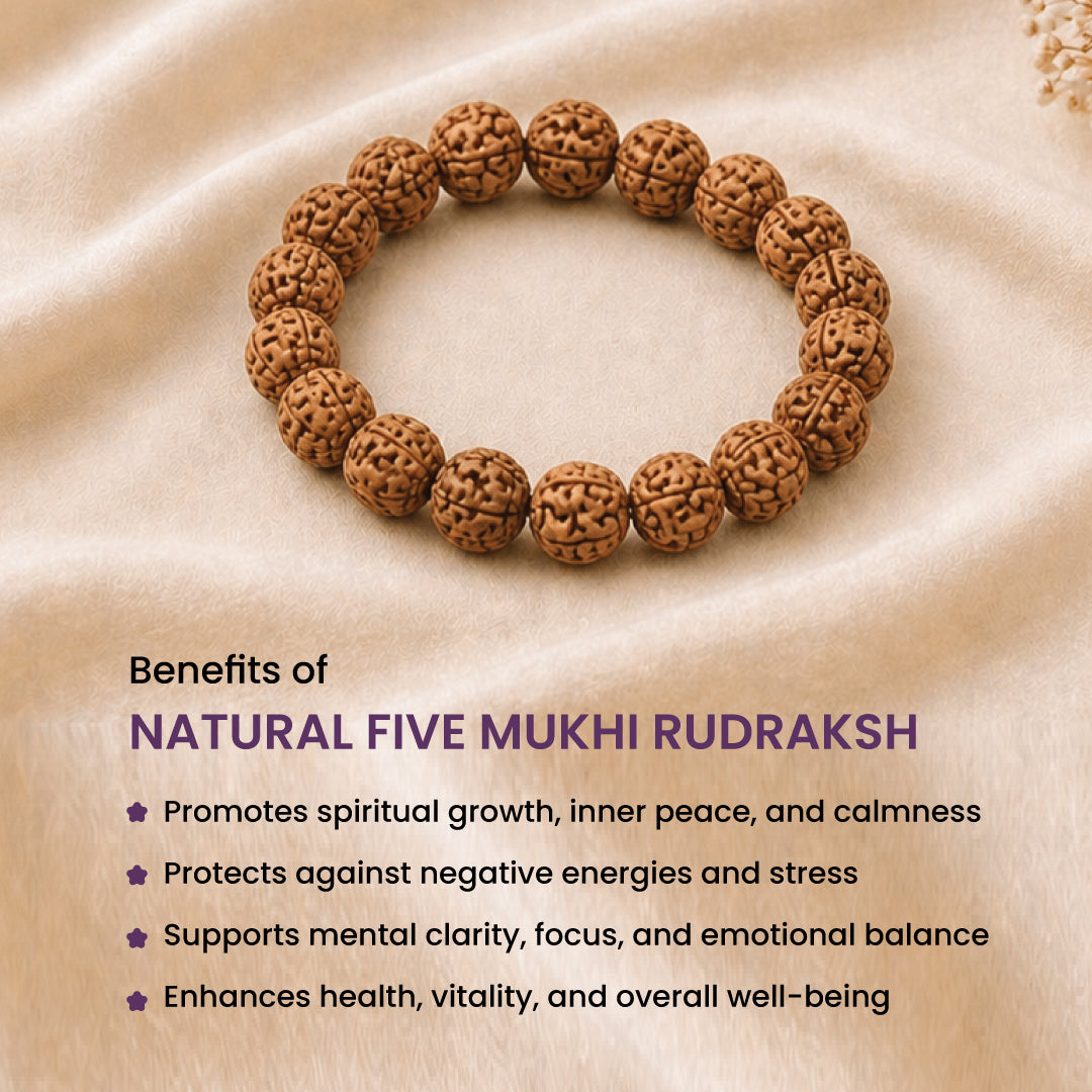 Natural Five Mukhi Rudraksh Bracelet