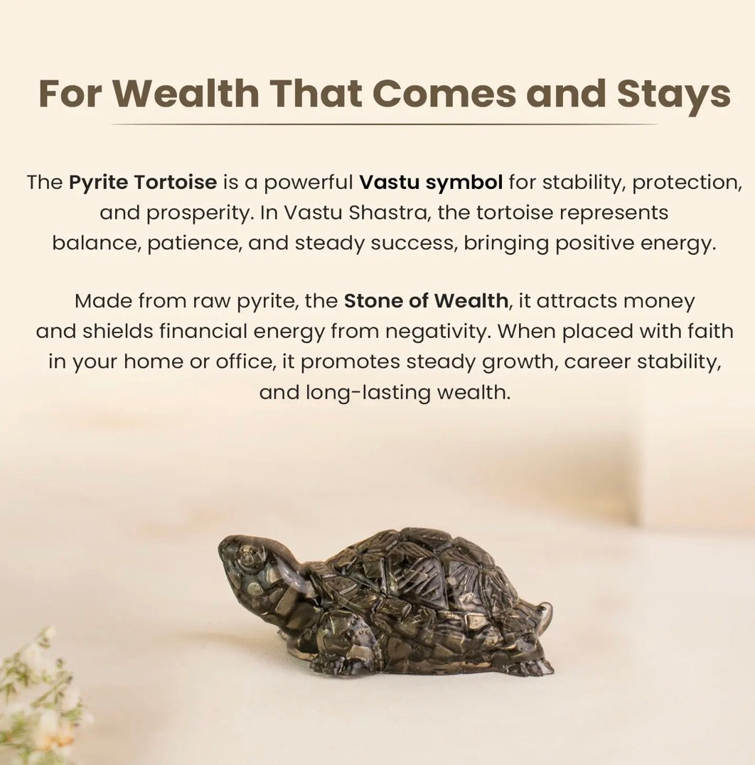 Vastu Prosperity combo- 7 horses frame+ Pyrite Turtle