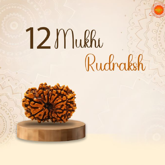 Rudraksha Consultation